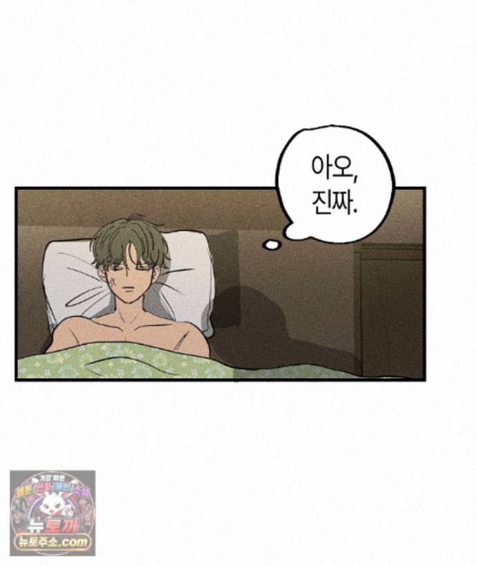 049.jpg