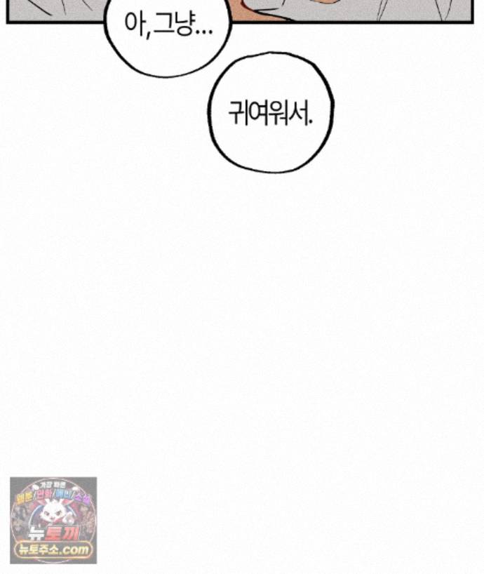 113.jpg