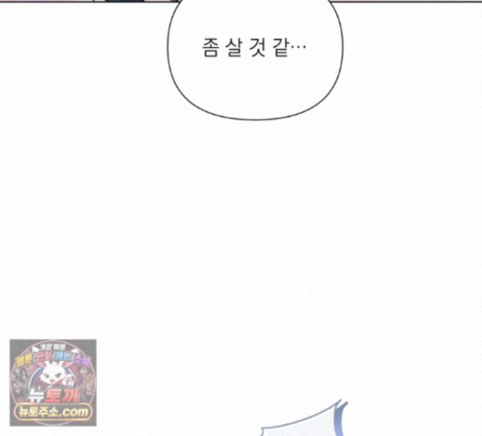 068.jpg