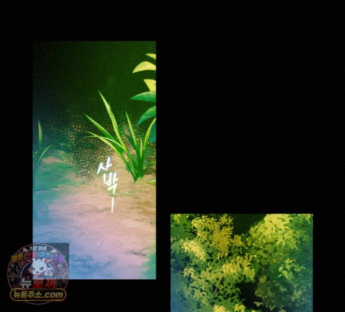 017.jpg