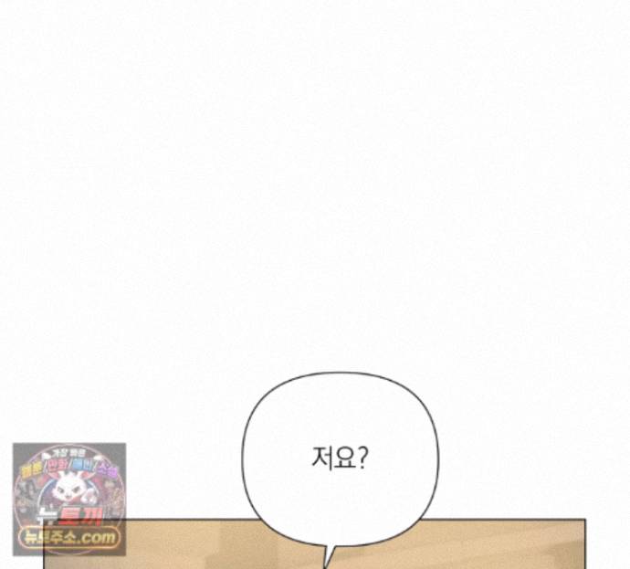 146.jpg