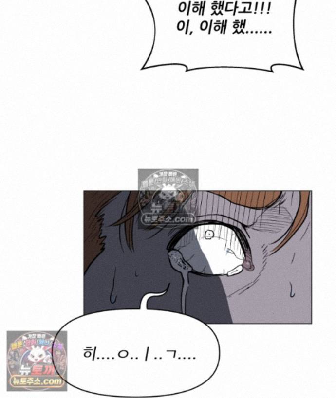 101.jpg