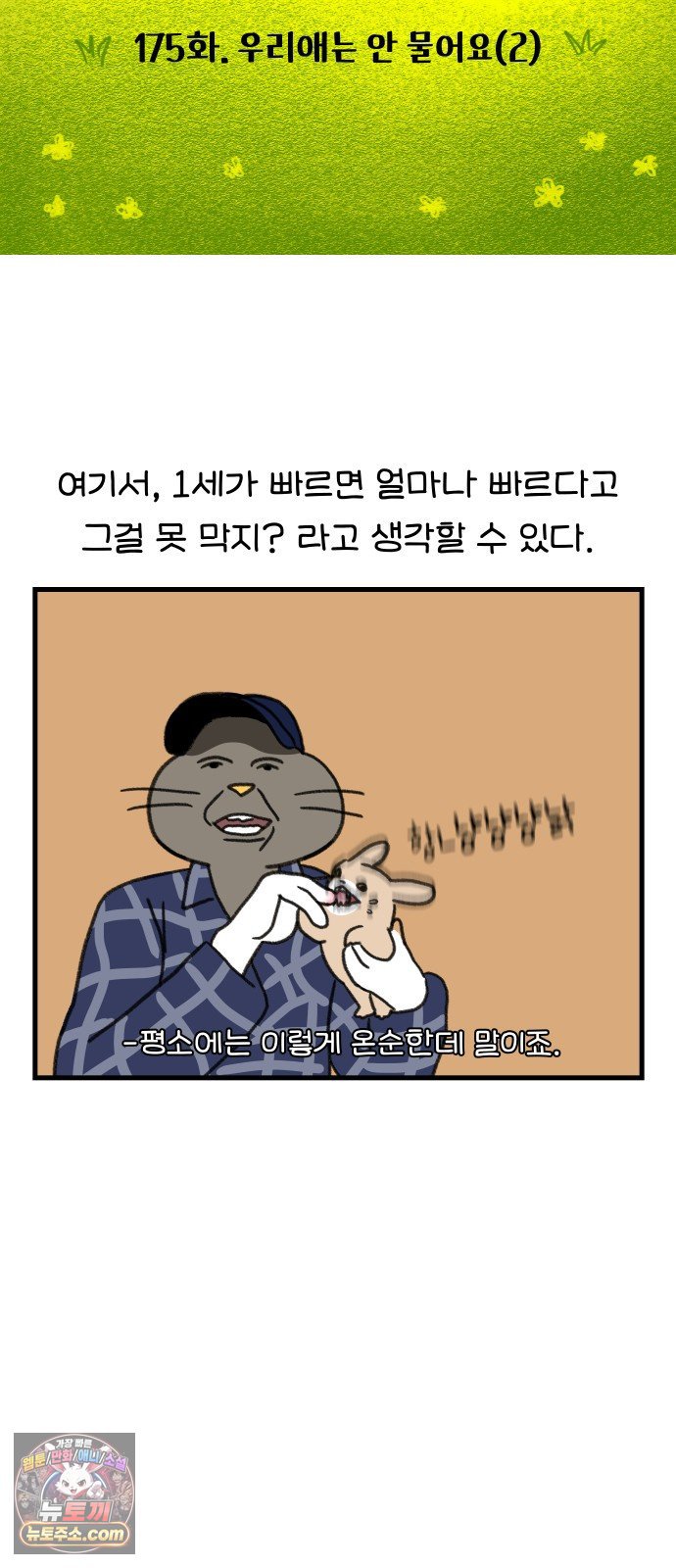 006.jpg