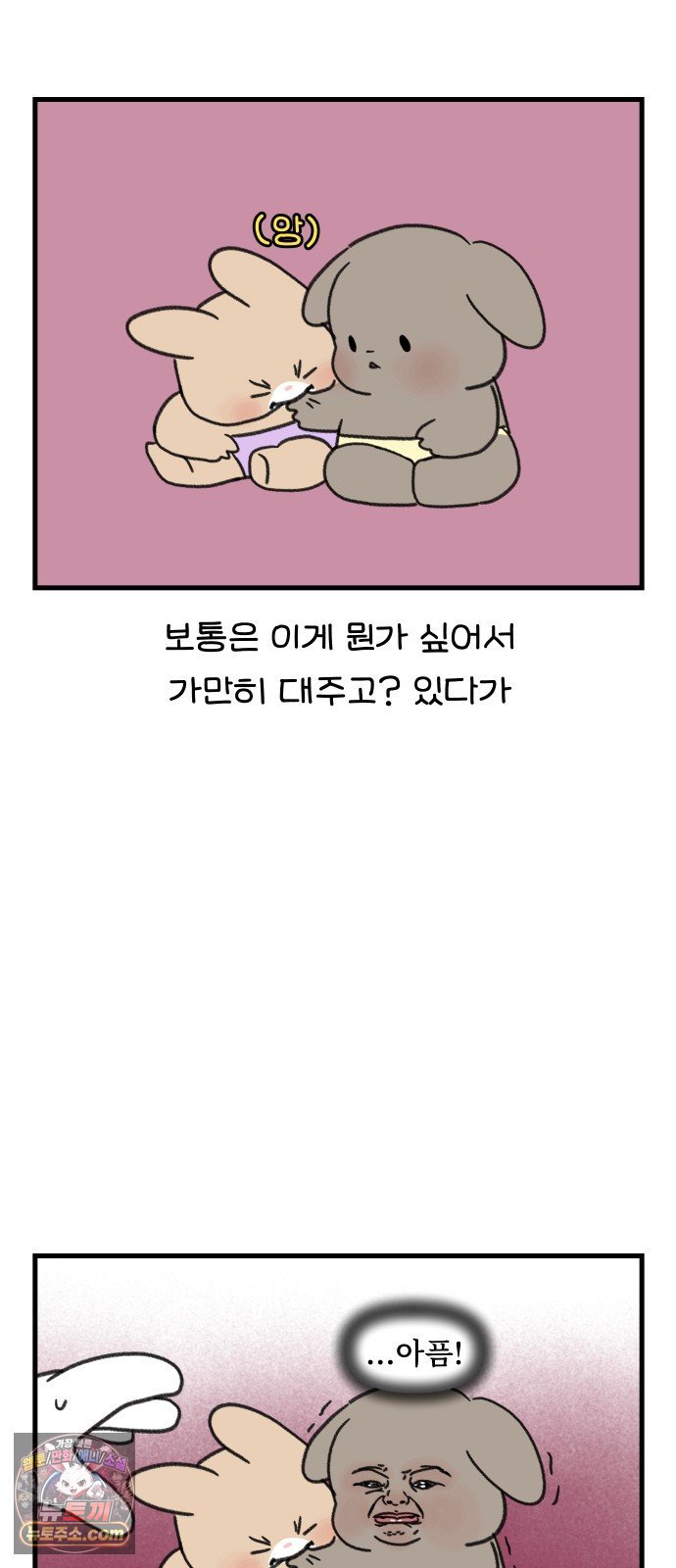 010.jpg