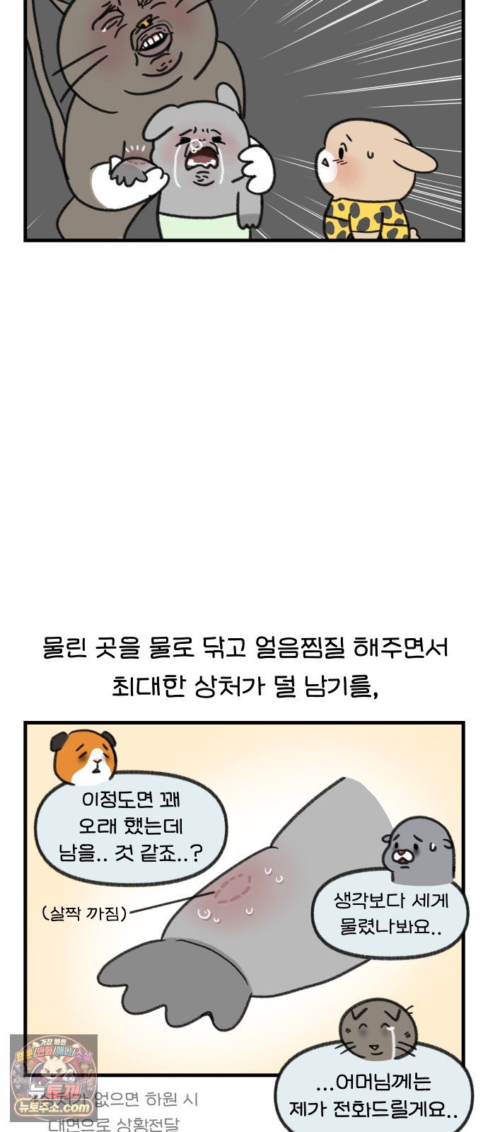 005.jpg