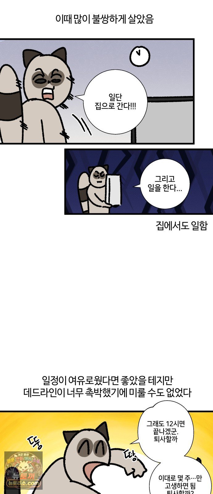 010.jpg
