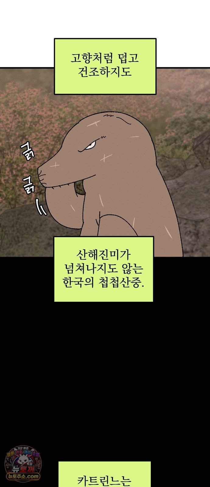 003.jpg