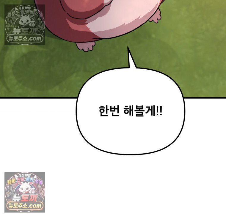 113.jpg