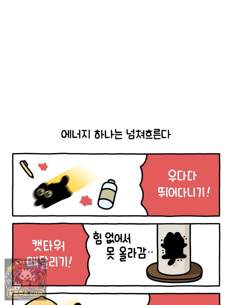 003.jpg