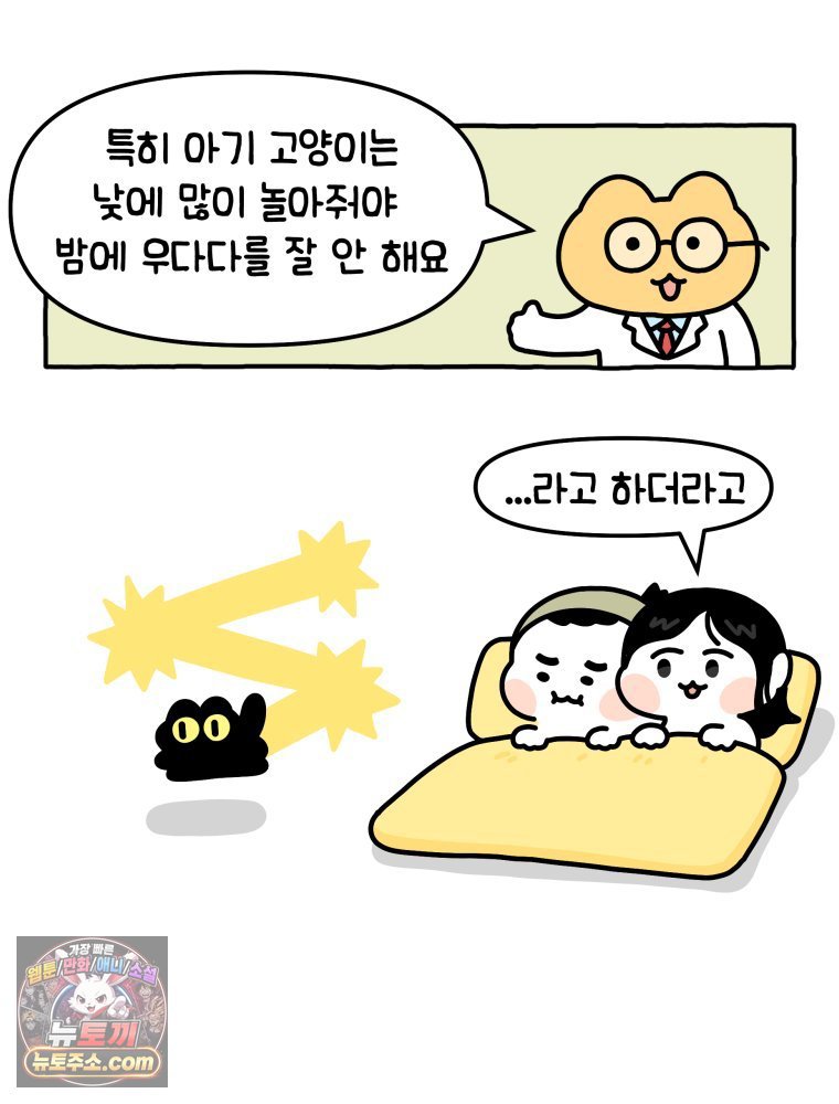 009.jpg