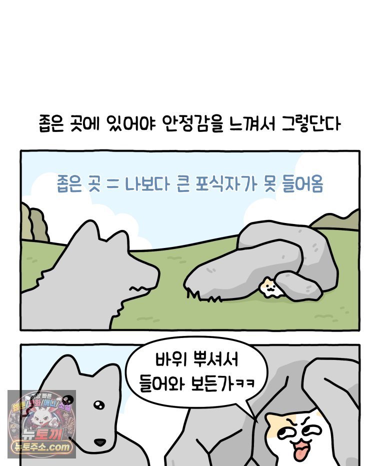 002.jpg