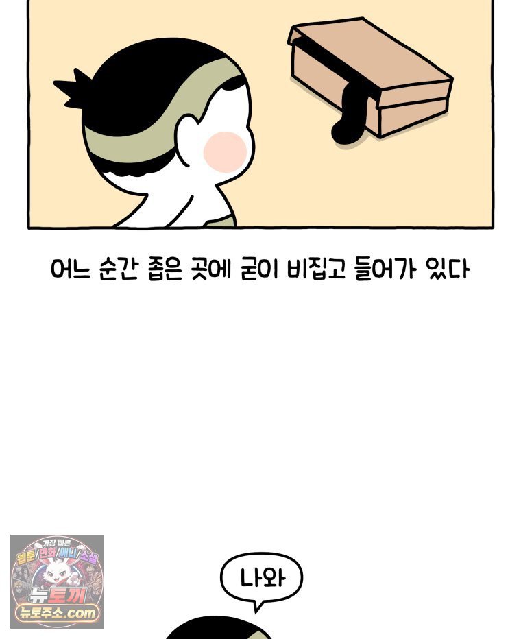 005.jpg