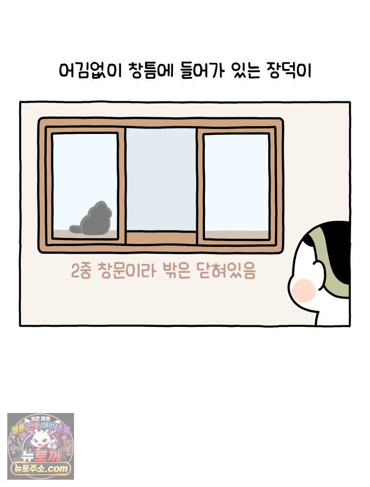 009.jpg