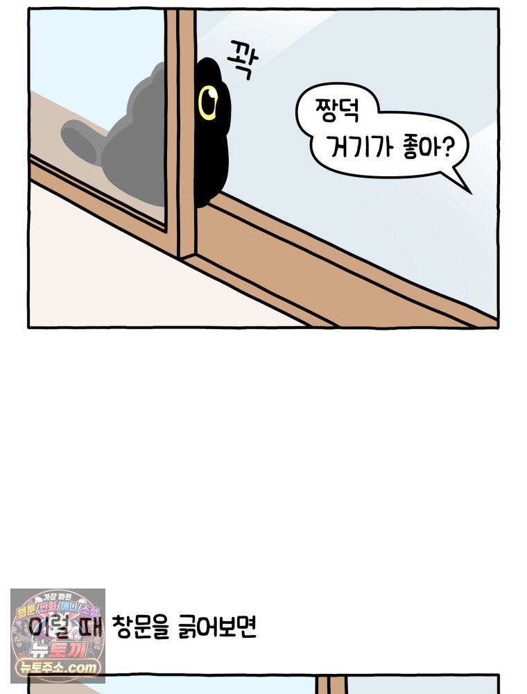 010.jpg