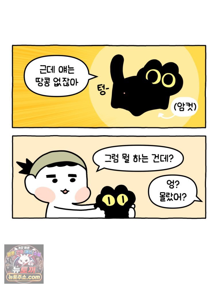 005.jpg