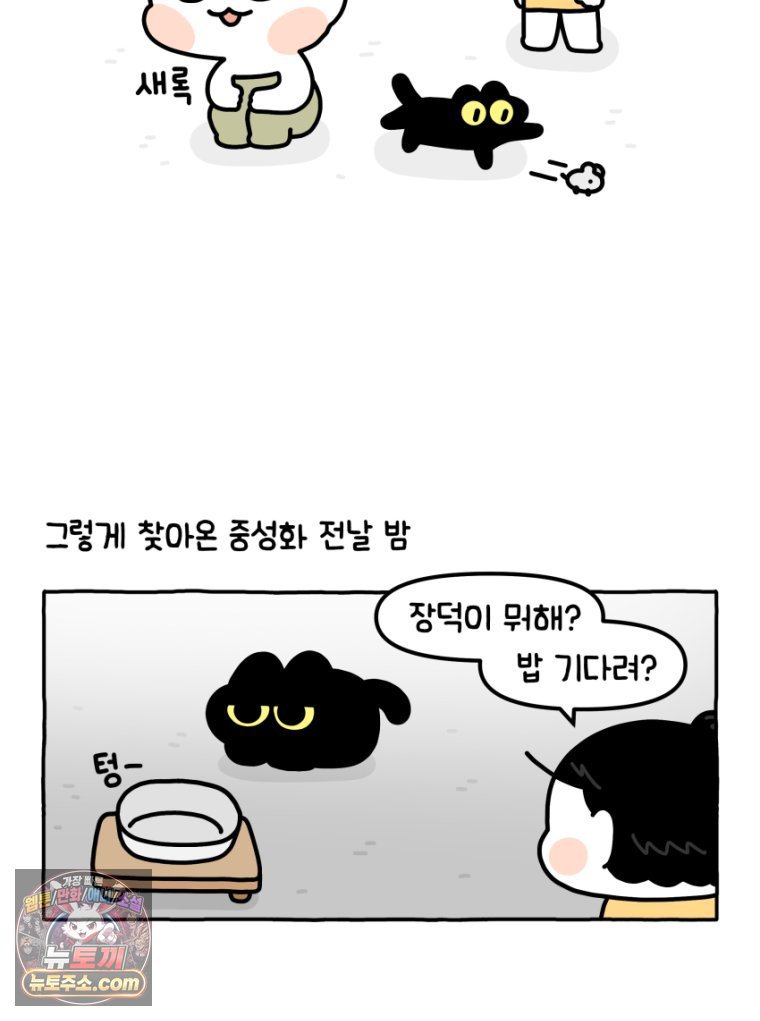 004.jpg