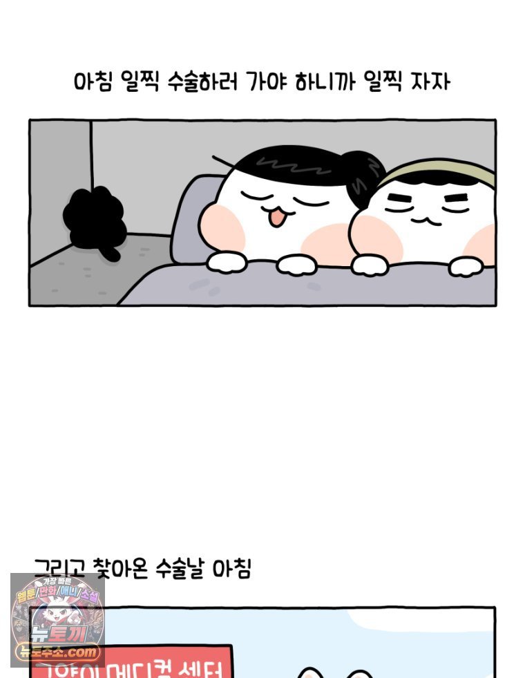 010.jpg