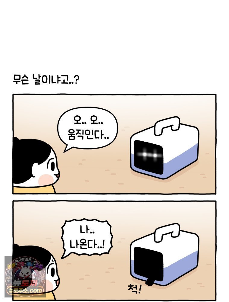 002.jpg