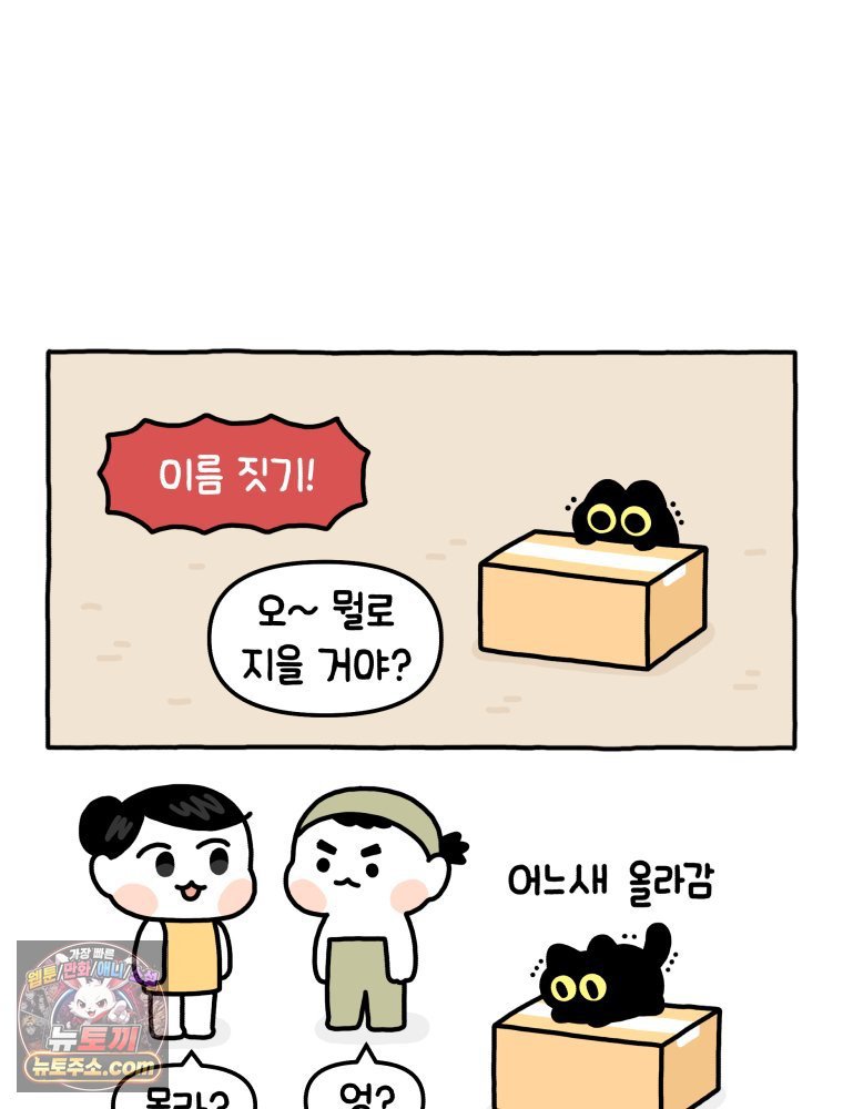 010.jpg