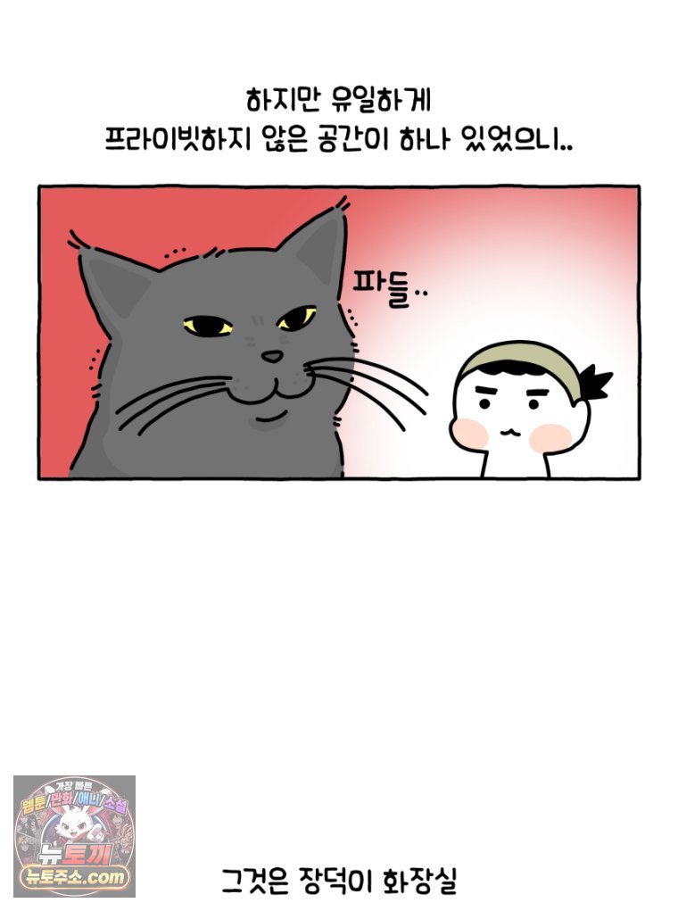 003.jpg