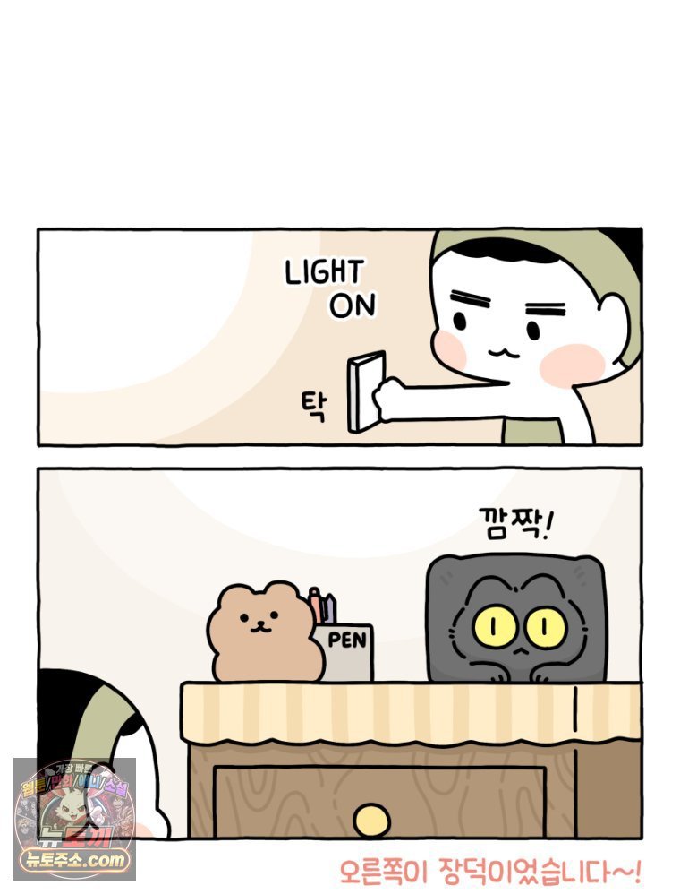 008.jpg