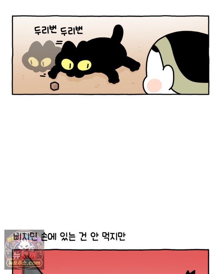 011.jpg