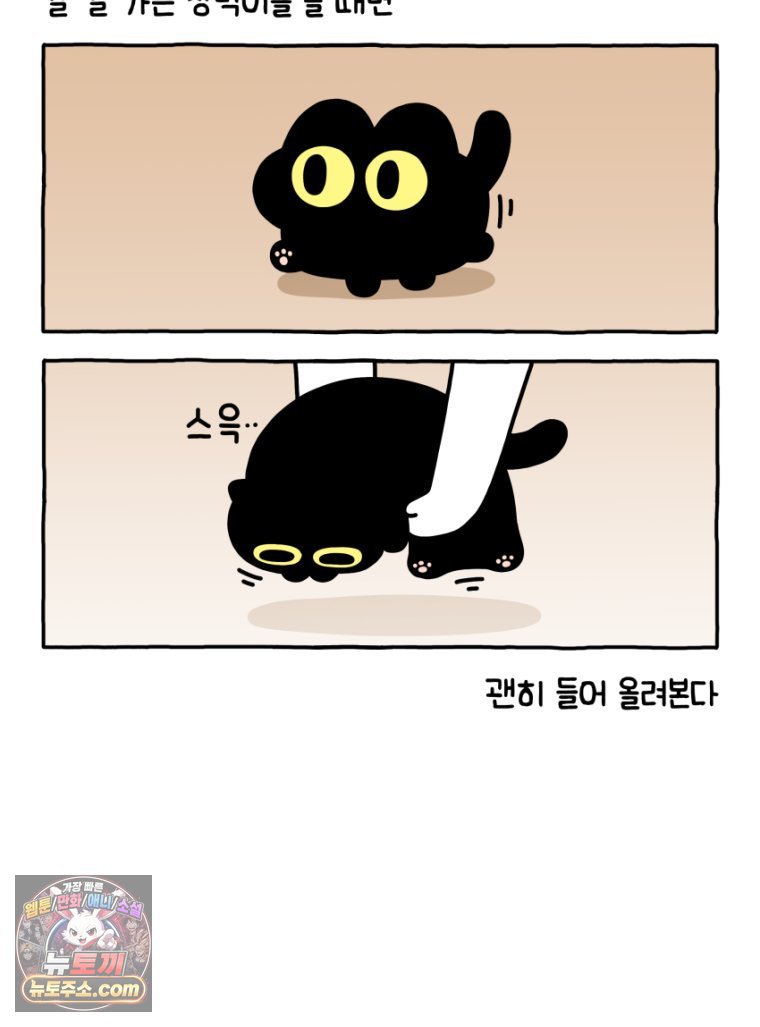 007.jpg