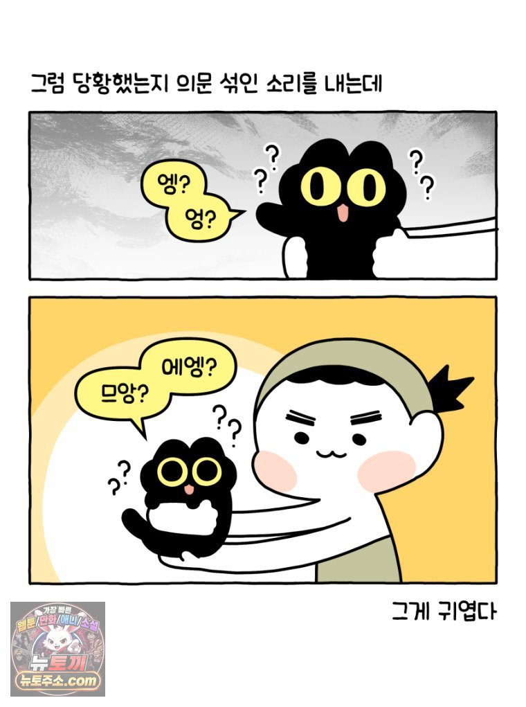 008.jpg