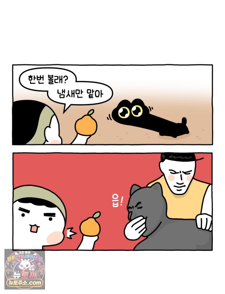012.jpg
