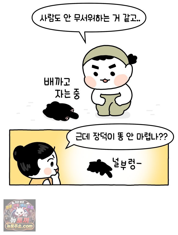 004.jpg
