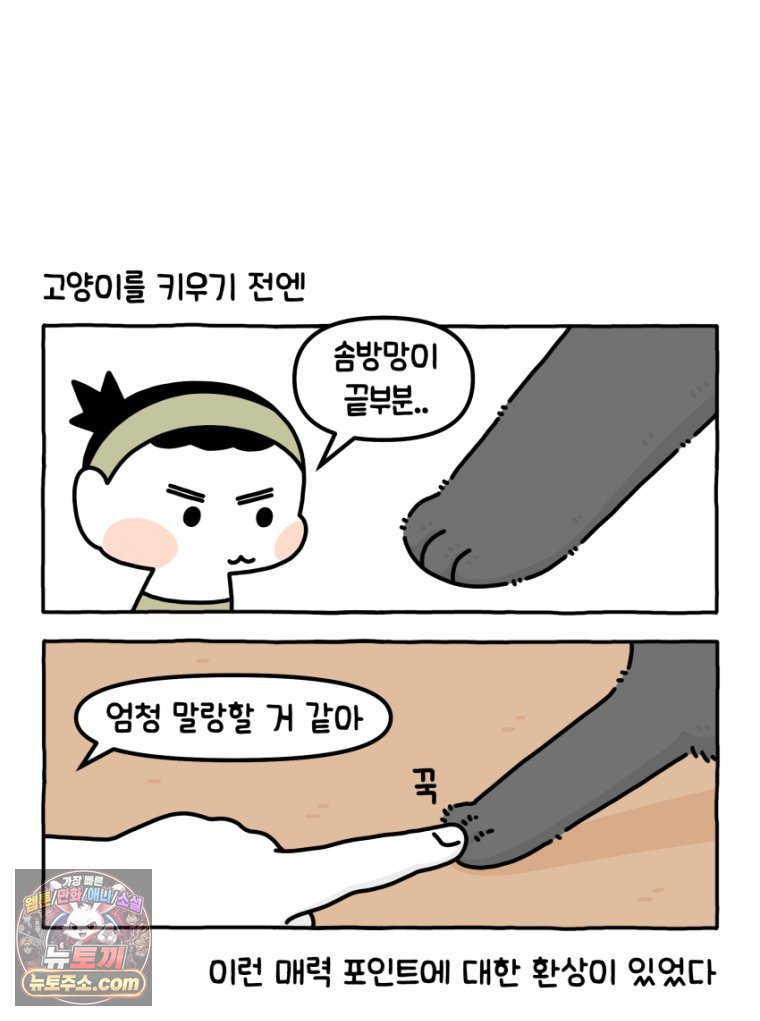 005.jpg
