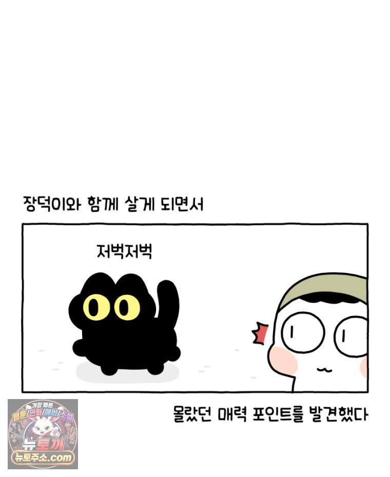 008.jpg