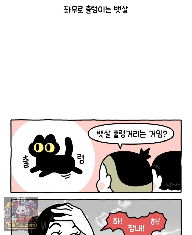 010.jpg