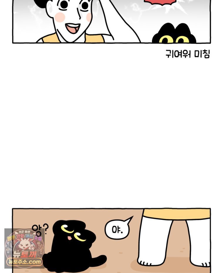 011.jpg