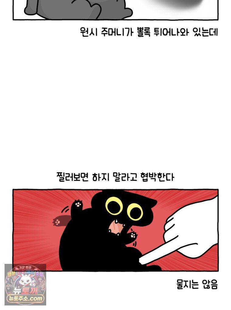 020.jpg