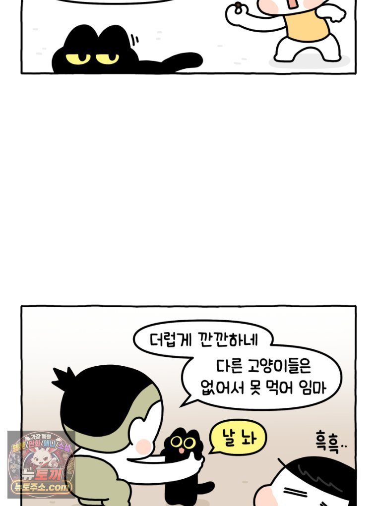 005.jpg