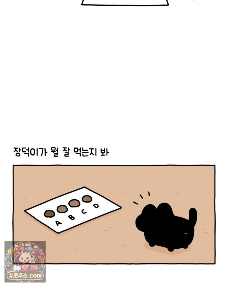 010.jpg