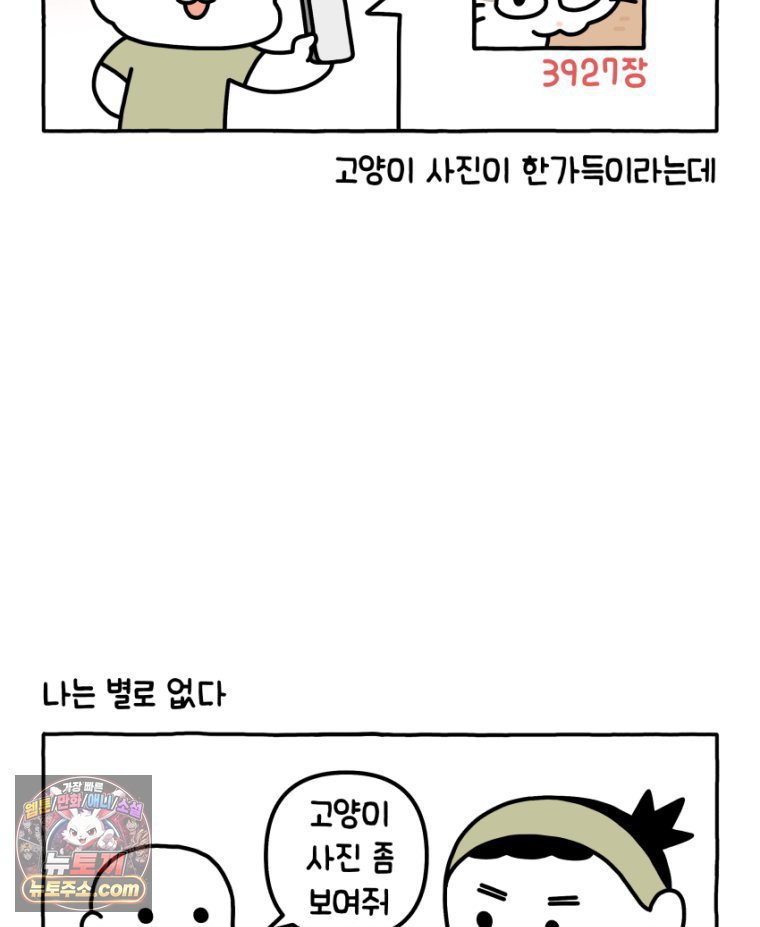 003.jpg