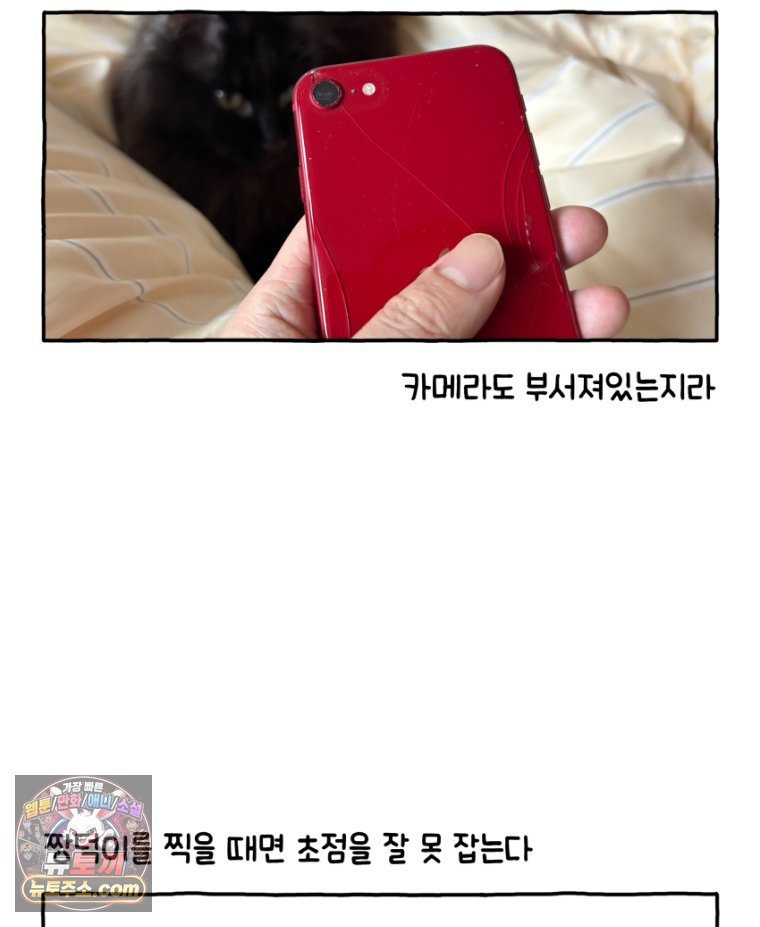 005.jpg