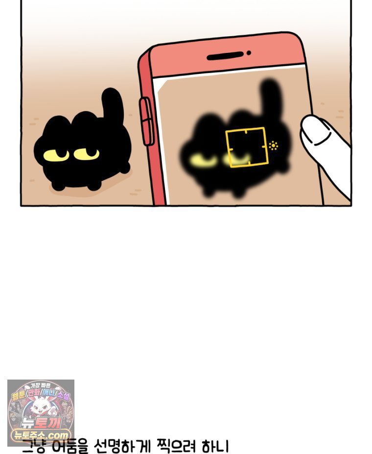 006.jpg