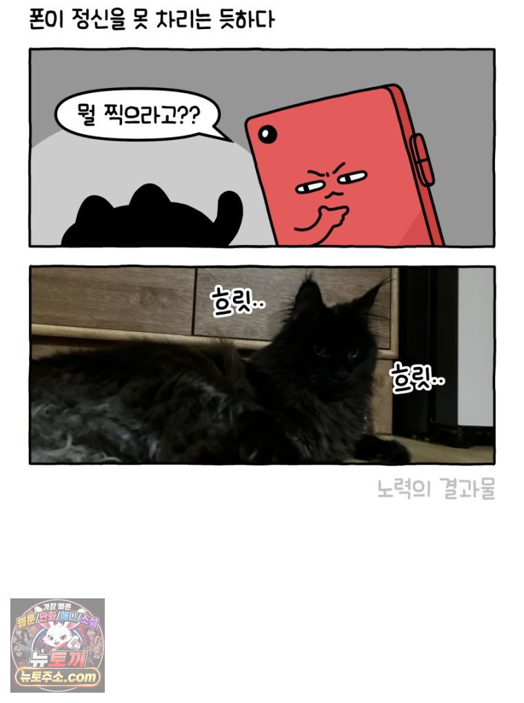 008.jpg