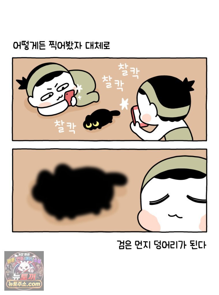 009.jpg
