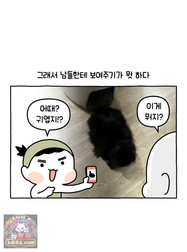 010.jpg