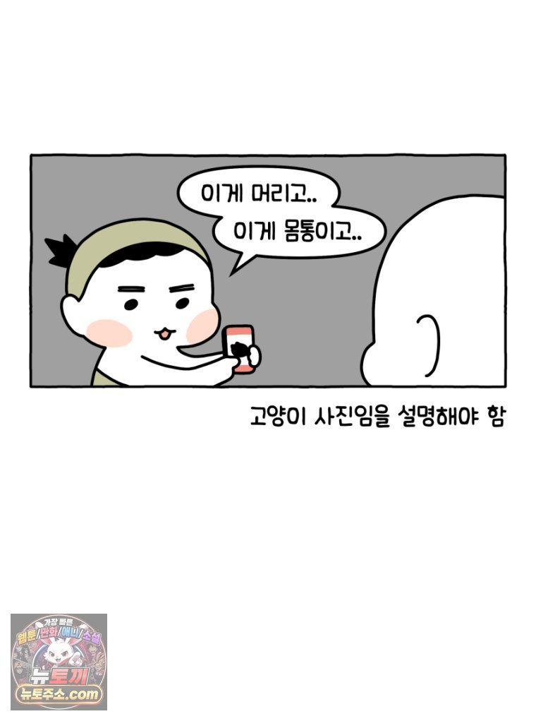 011.jpg