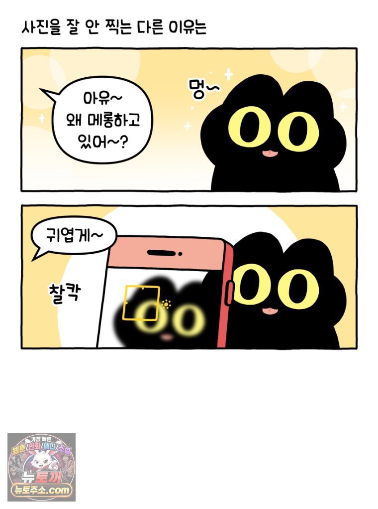012.jpg