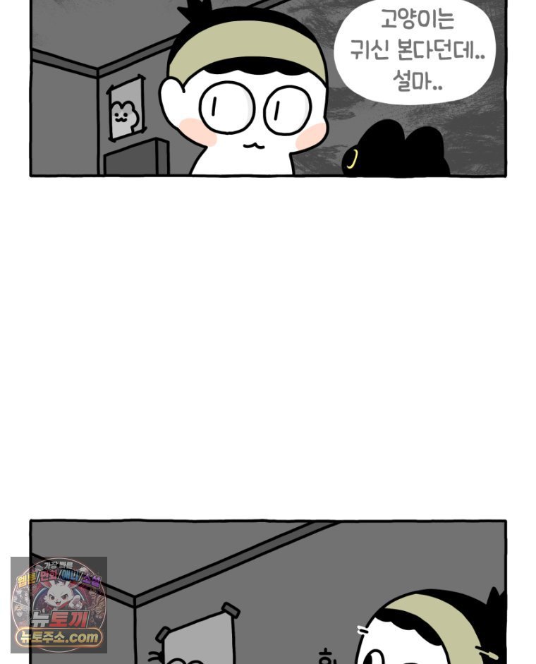 004.jpg