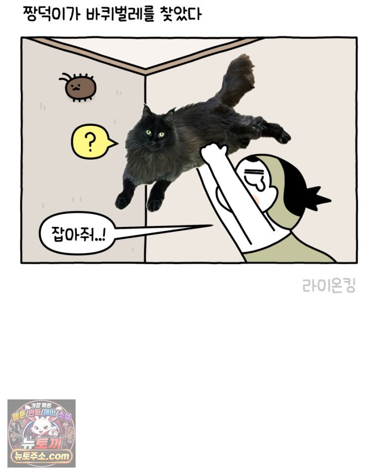 008.jpg