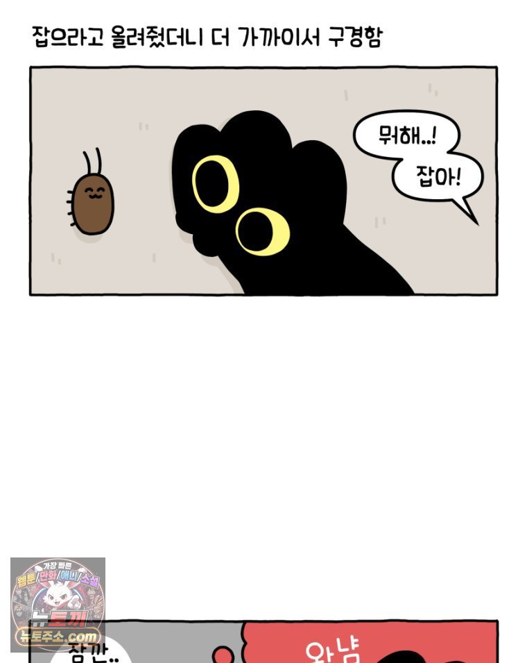009.jpg