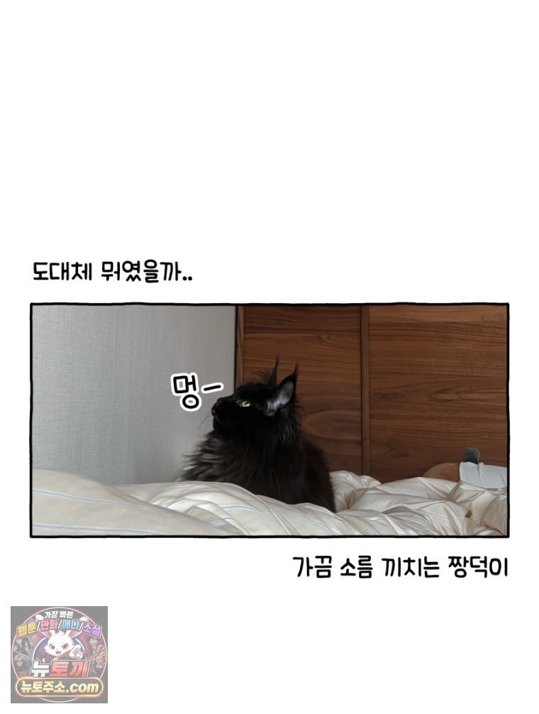 030.jpg