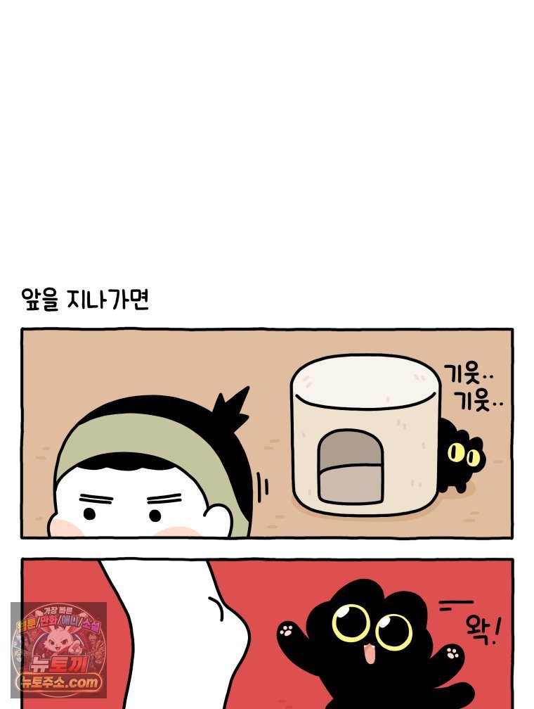 003.jpg